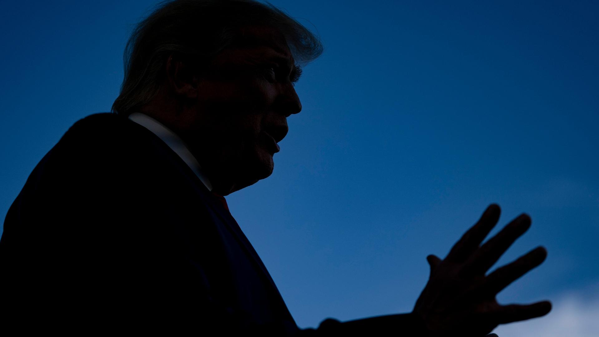 Eine Silhouette vor blauem Hintergrund zeigt das typische Erscheinungsbild von Donald Trump