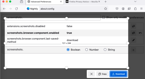 The Screenshots feature in Firefox functioning within the about:config page