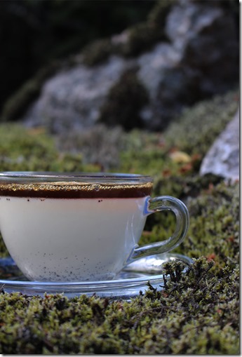 Bild från sidan på den genomskinliga kaffekoppen med vaniljpannacotta och kaffe-gelén.