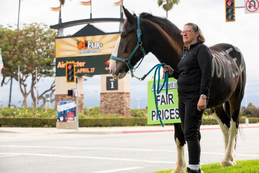 Gibran Stout with horse Finn at Costa Mesa City Hall Thursday to protest increased boarding rates at the OC fairgrounds.