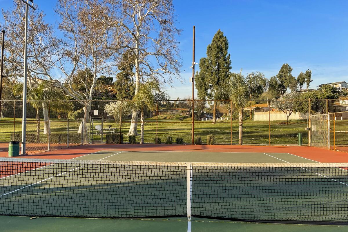 A tennis court surrounded by tall trees