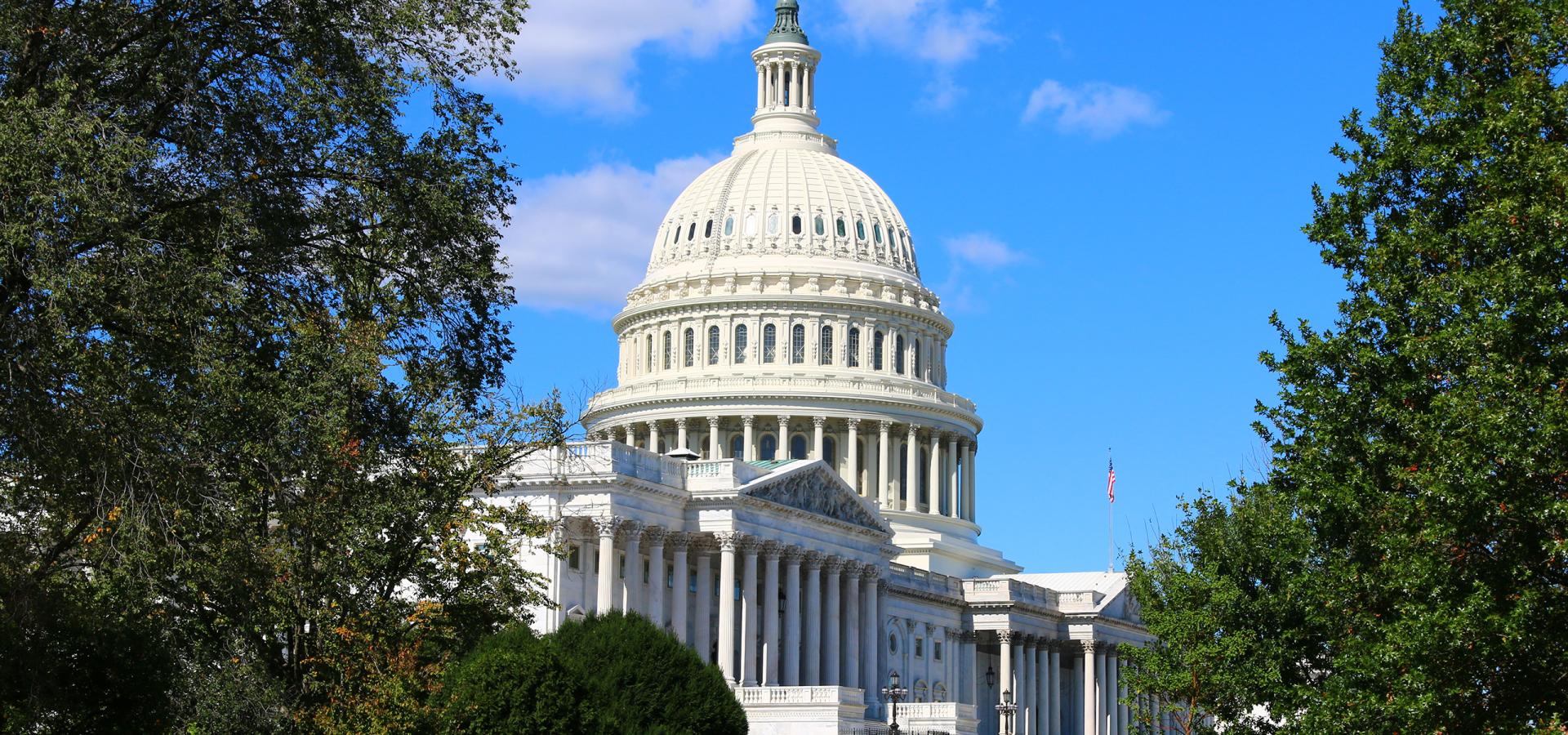 Tree-lined side of the Capitol building