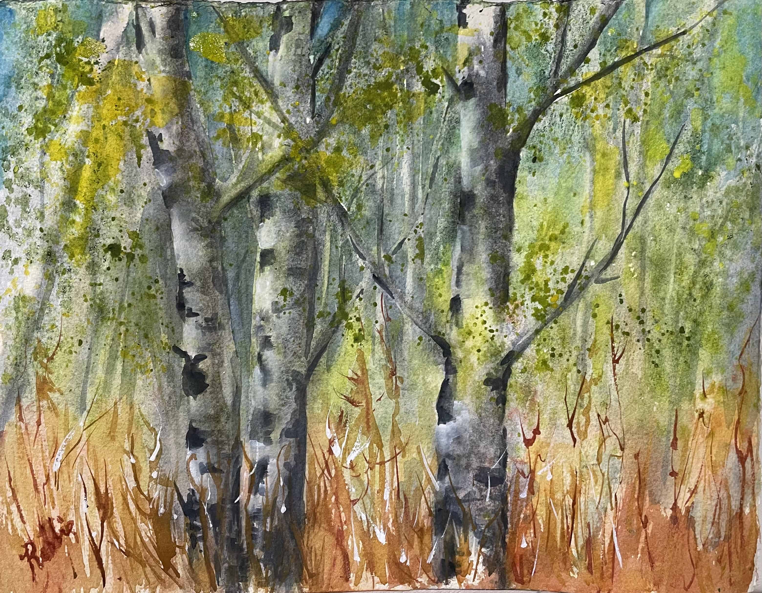 This loose and lovely painting is a playful depiction of a poplar stand in late August. The bright colours express the changing colours of the leaves and underbrush. The sunlight brings out the brightness of the white bark and creates light trails through the forest.