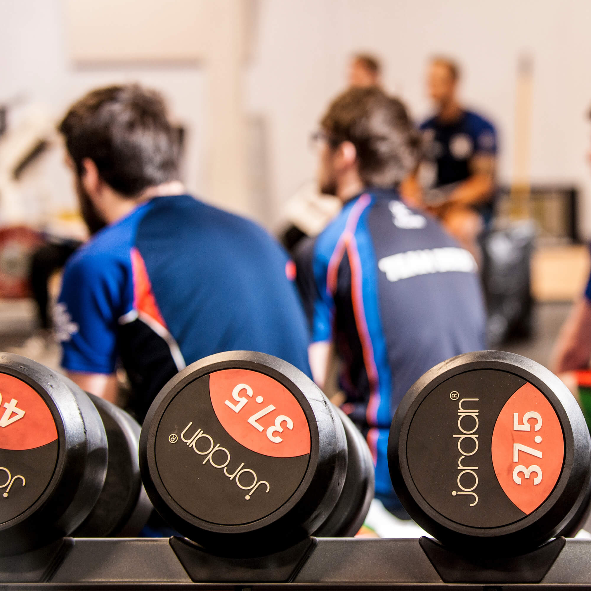 Fitness suite dumbbells