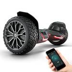 Hoverboard (Gelände)