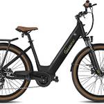 E-Bike (Tiefeinstieg)