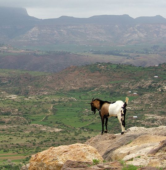 Ethiopian Plateau