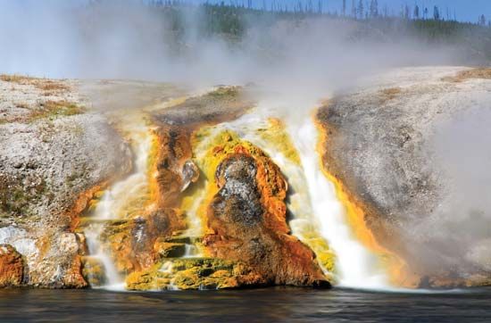 archaea; Yellowstone National Park