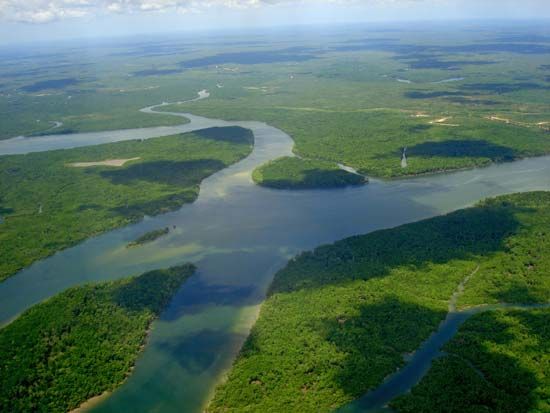 Amazon River