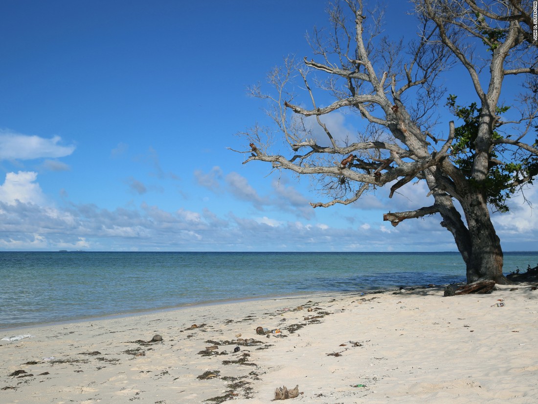 Flooding is only the most obvious impact of sea level rise. Trees and crops along the coast die when they're saturated with saltwater. Supplies of freshwater also become contaminated. Some researchers say the islands likely will become uninhabitable long before they're submerged by rising sea levels.