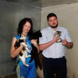 Андрей Емельяненко: Волонтеры играют важную роль в помощи бездомным животным!