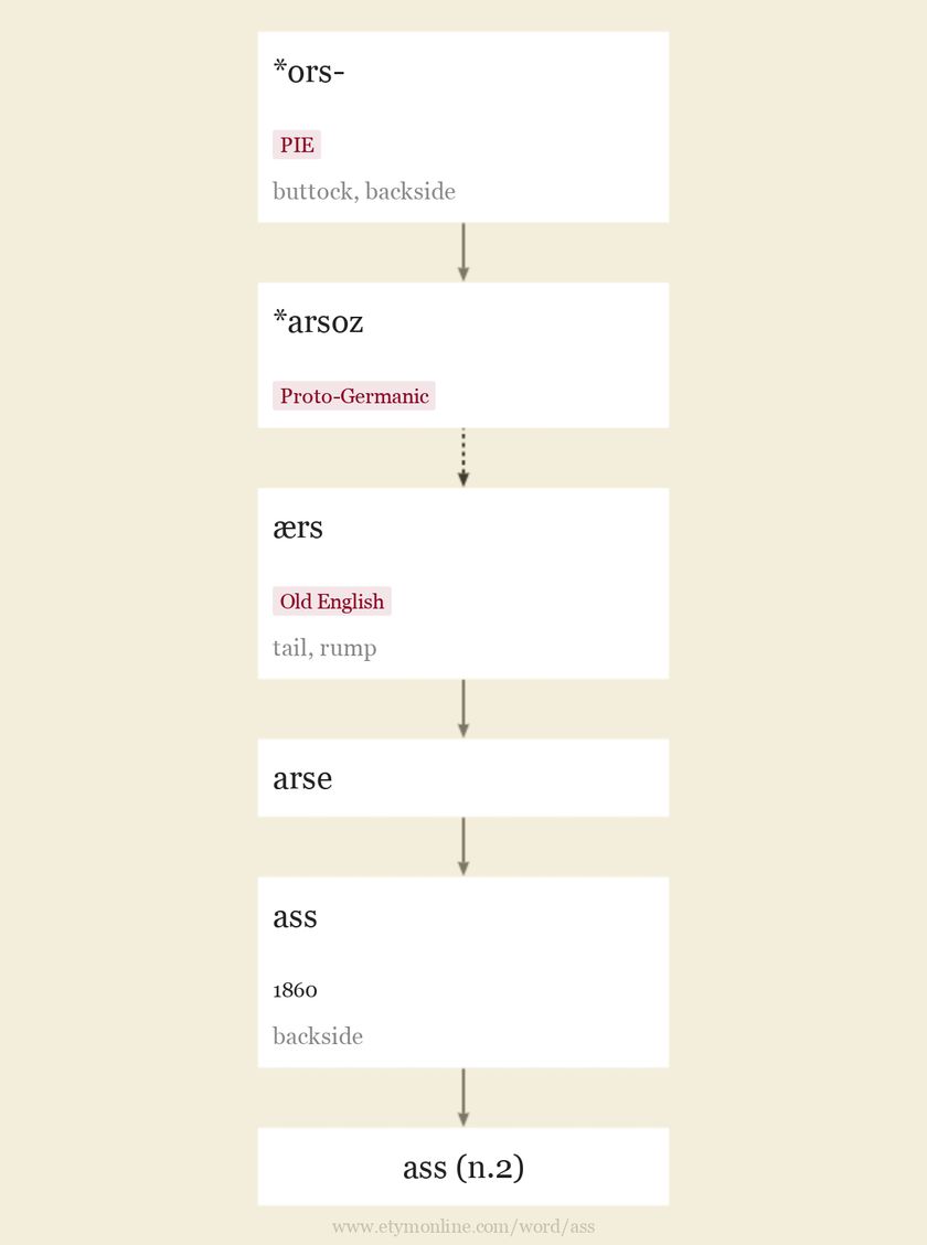 Origin and meaning of ass