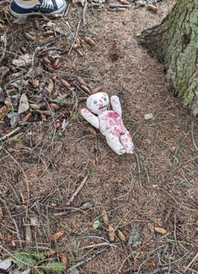 creepy voodoo doll found woods