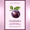 Соционика: «Штирлиц». Полное описание типа