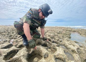 В Баку на берегу Каспия найдена граната