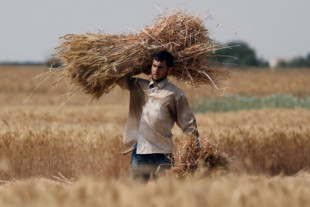 Estamos en una crisis alimentaria mundial que provocará estragos en las economías locales y desatará revueltas sociales