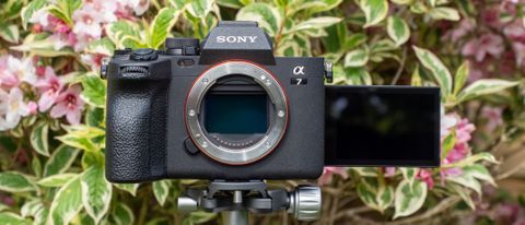 Sony A7 IV on a tripod against a hedge