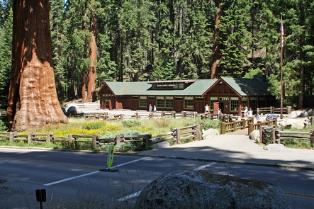 Giant Forest MuseumGiant Forest Museum offers exhibits, park information, and a bookstore.