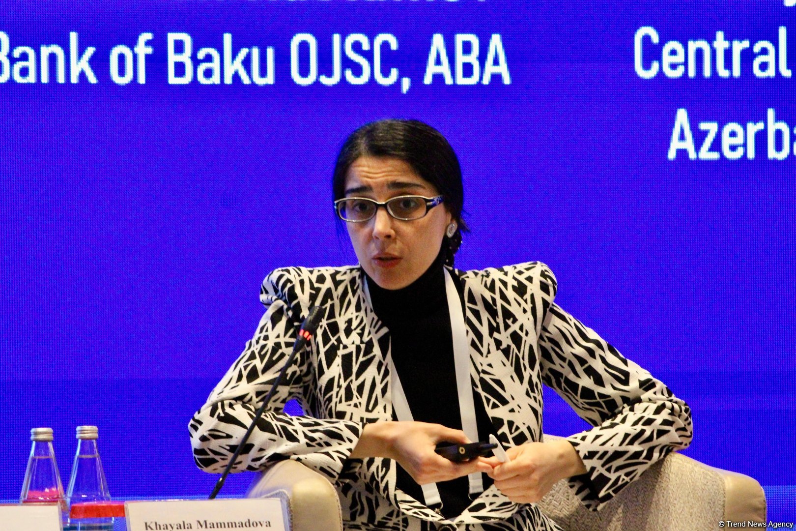 ЦБ Азербайджана проводит работу по защите граждан от мошенничества в финансовом секторе - Хаяла Мамедова