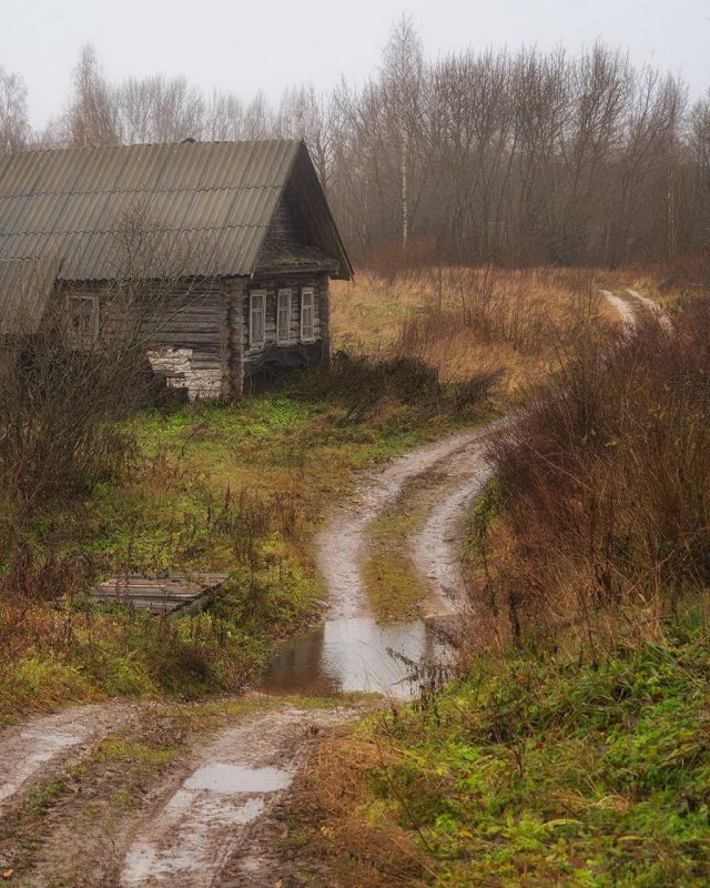 Пасмурное утро в деревне