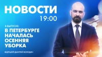 Новости Петербурга к 19:00