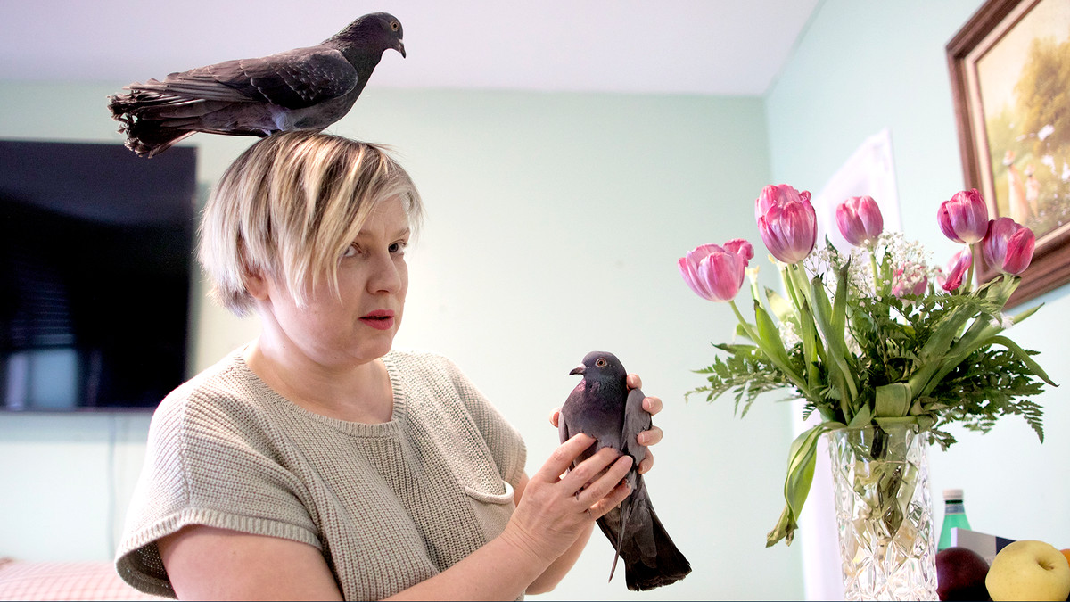 A woman with short blond hair in a T-shirt holds one pigeon while another perches on her head, in a pastel-decorated room with pink tulips in a glass vase nearby.