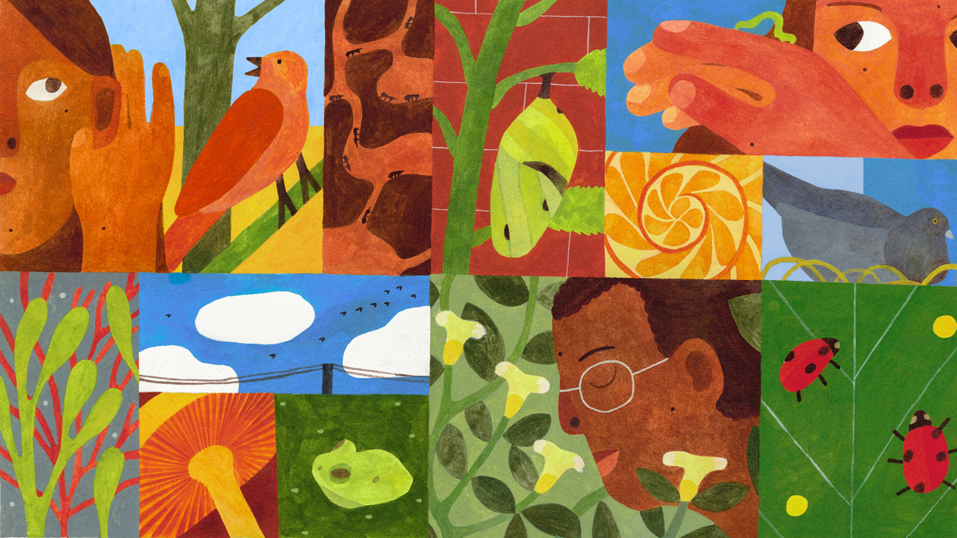 A brightly-colored illustration shows a woman with her hand to her ear listening to a songbird, close-ups of different plant and wildlife, a man smelling a honeysuckle flower, and a woman holding an inch worm on her hand to inspect it.