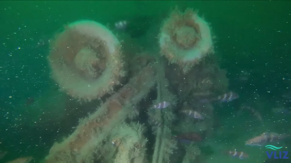 Wreckage of the sunken V-1302 John Mahn, a German fishing trawler requisitioned by the German Navy as a patrol boat during World War II. Researchers have recently determined that the wreck is polluting the North Sea's oceanbed more than 80 years after it sunk. - Sputnik International