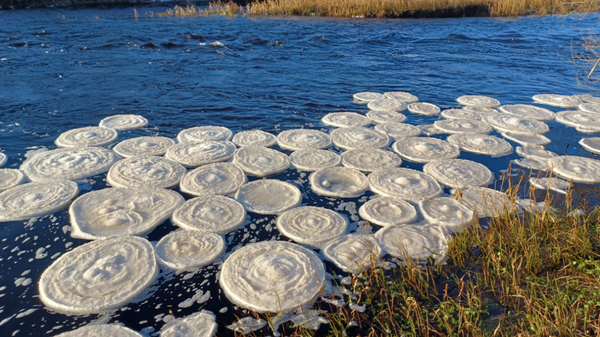 Ice pancakes on the River Bladnoch  - Sputnik International