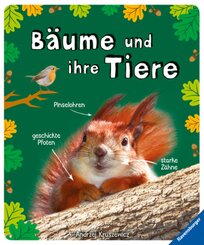 Bäume und ihre Tiere - das spannende Leben in unseren Wäldern, Hecken und Feldrainen (Flora und Fauna)