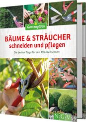 Bäume & Sträucher schneiden und pflegen