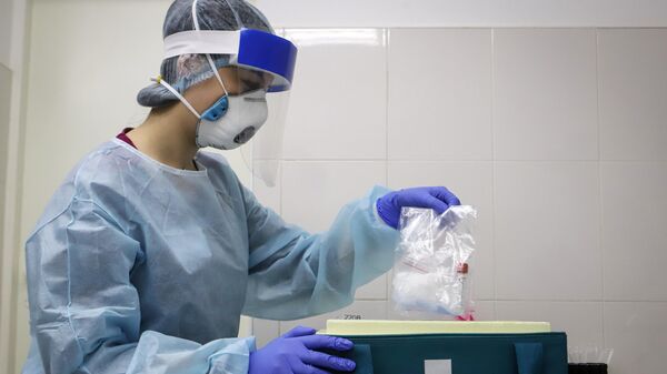 Медицинский работник достает биоматериал из контейнера для выполнения теста на наличие антител к коронавирусу