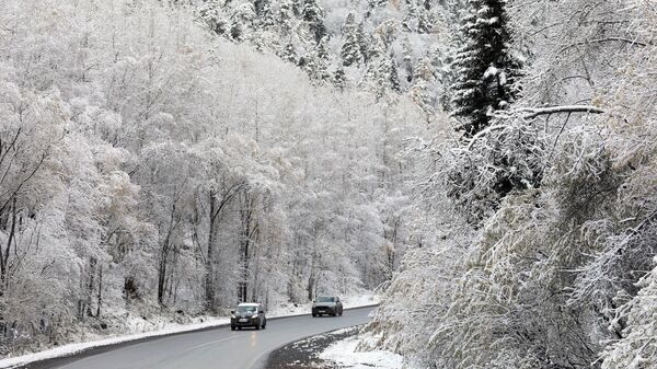 Автомобили едут по автотрассе вдоль тайги после первого снегопада в Красноярском крае