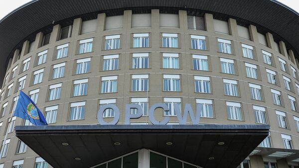 Вид на здание Организации по запрещению химического оружия в Гааге. Архивное фото