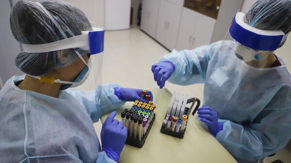 Медицинские работники обрабатывают полученный биоматериал на наличие антител к вирусу SARS-CoV-2 