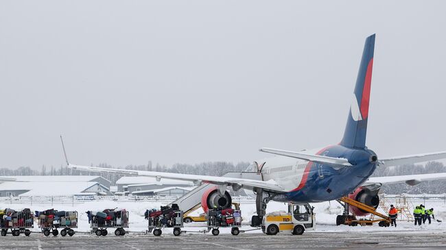 Транспортировка багажа в международном аэропорту Краснодар имени Екатерины II