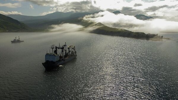 Килекторное судно Тихоокеанского флота на рейде в Новокурильской бухте острова Уруп 