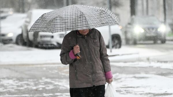 Женщина с зонтом идёт по Ленинскому проспекту во время снегопада в Москве