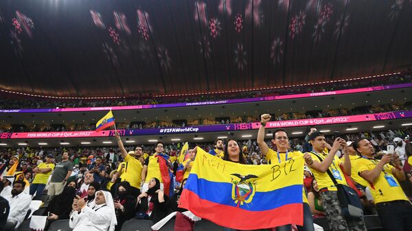 Футбол. Чемпионат мира. Матч Катар - Эквадор