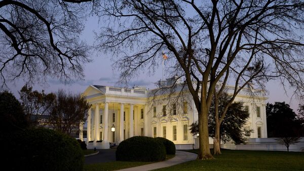 Белый дом в Вашингтоне. Архивное фото