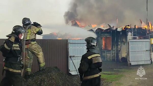 Сотрудники МЧС тушат пожар в населенном пункте Логоушка в Курганской области (скриншот видео)