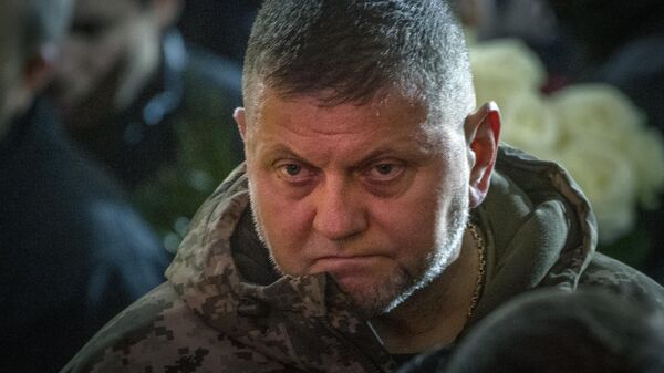 Бывший главнокомандующий Вооруженными силами Украины Валерий Залужный