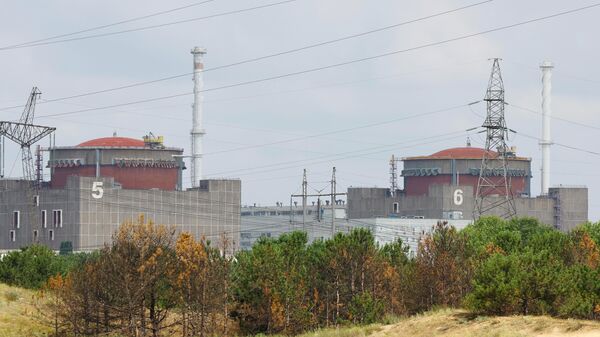 Пятый и шестой энергоблоки Запорожской АЭС. Архивное фото