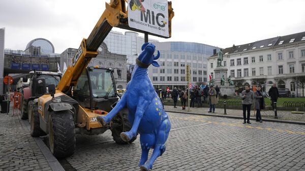 Демонстрация французских и бельгийских фермеров возле Европейского парламента в Брюсселе. Архивное фото
