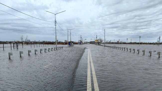 Разлив реки Тобол в Курганской области