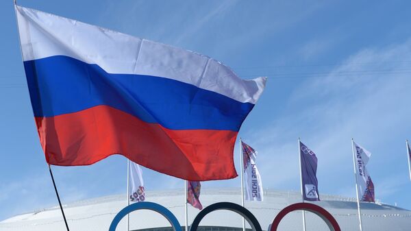 Болельщики с российским флагом в Олимпийском парке Сочи