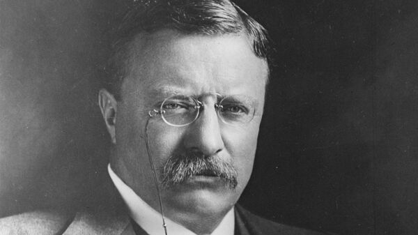 26-й президент США Теодор Рузвельт