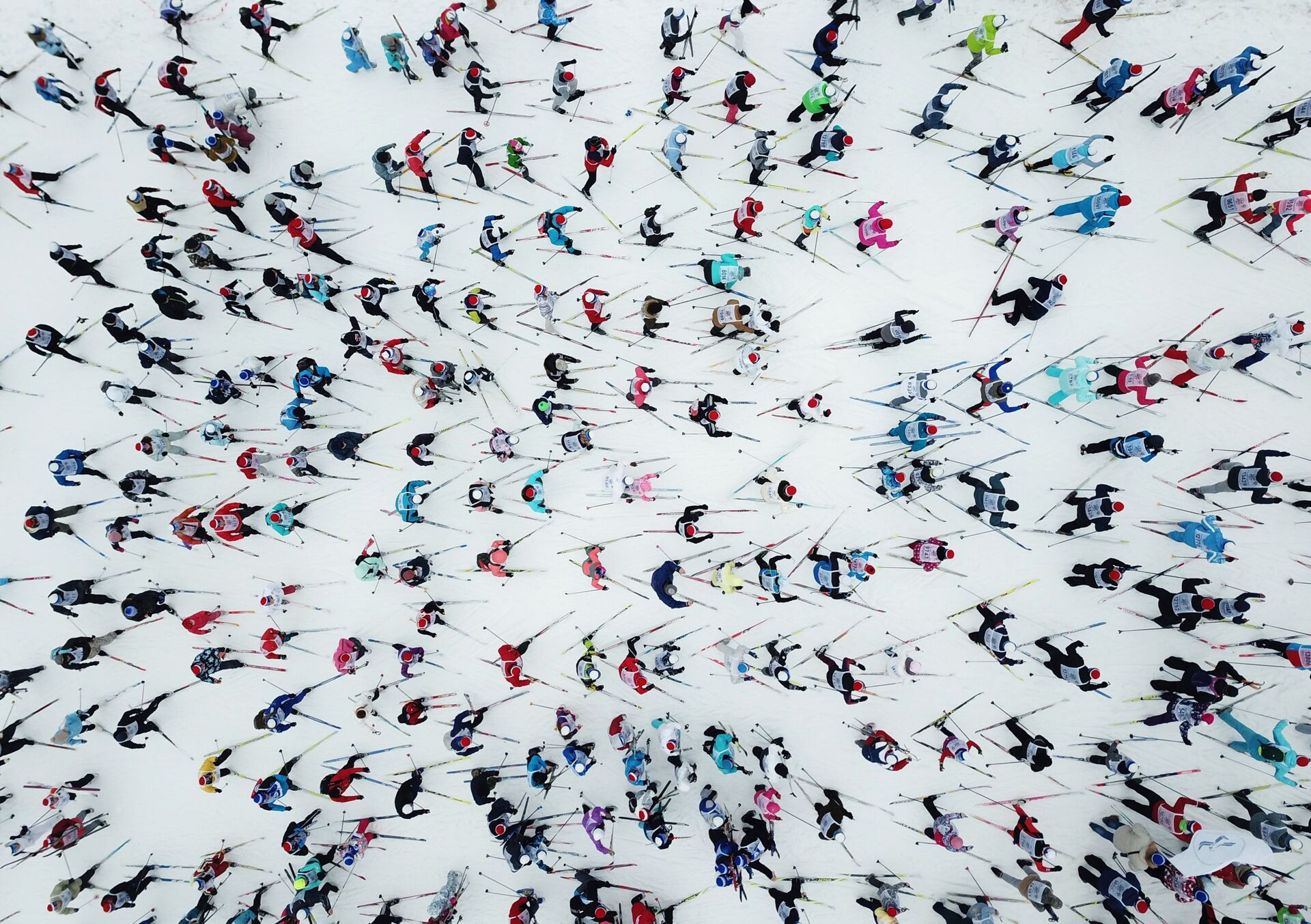 Участники на дистанции Всероссийской массовой лыжной гонки Лыжня России - 2019 - РИА Новости, 1920, 04.02.2022