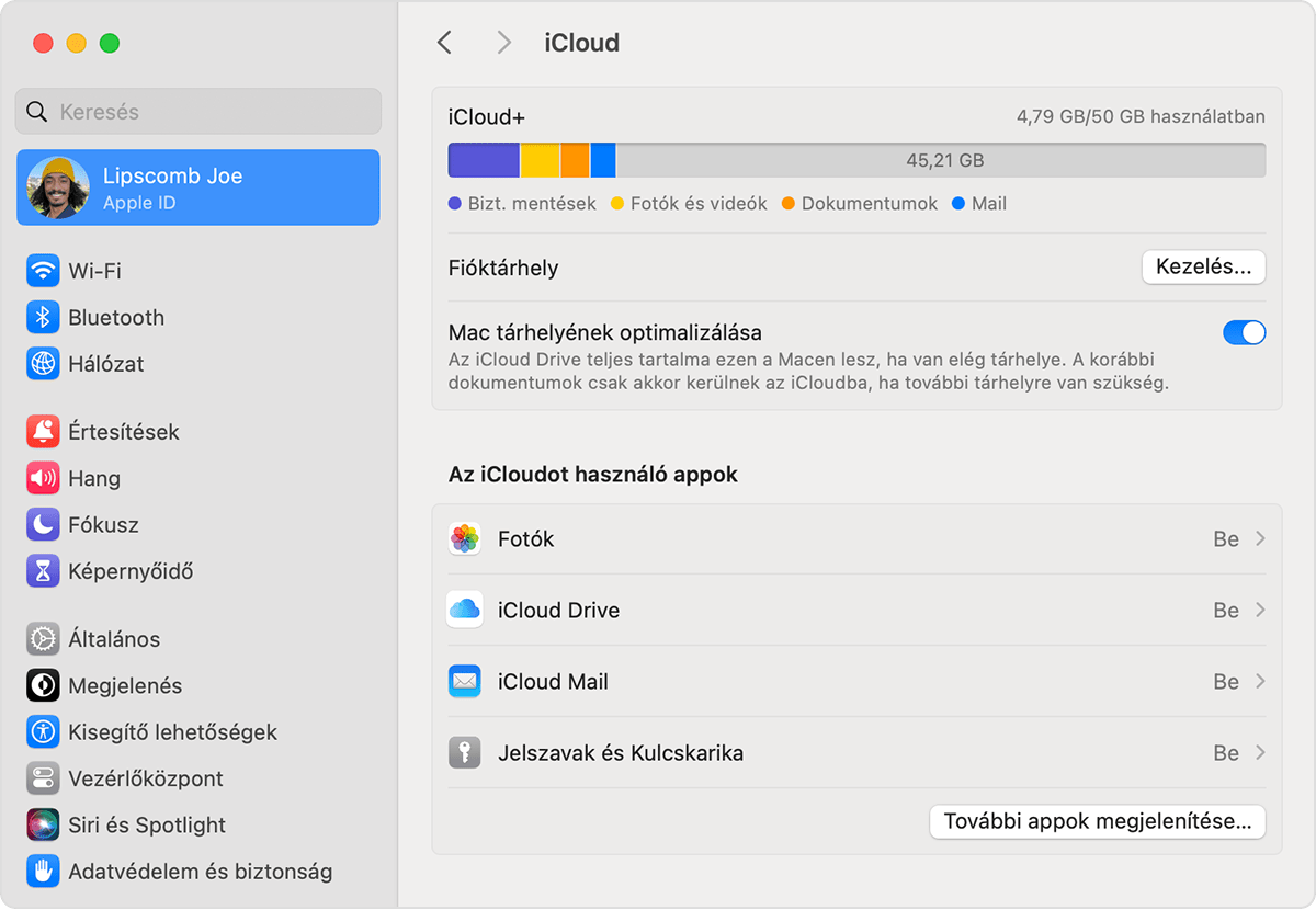 macos-sonoma-system-settings-icloud