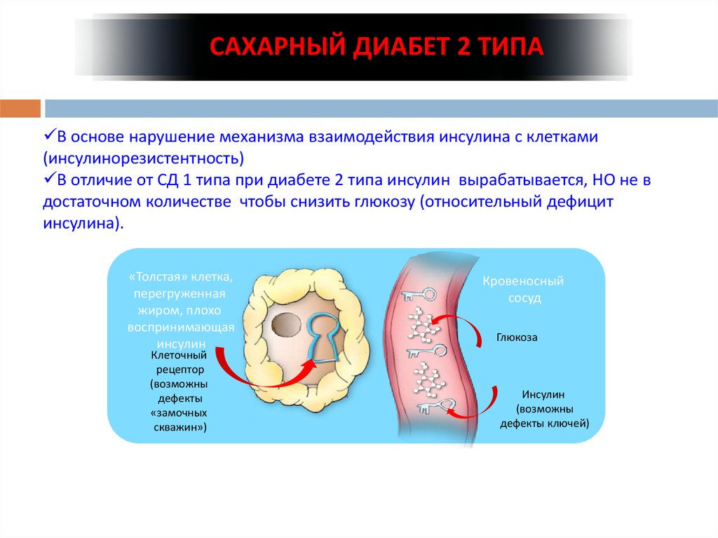 Взаимодействие инсулина